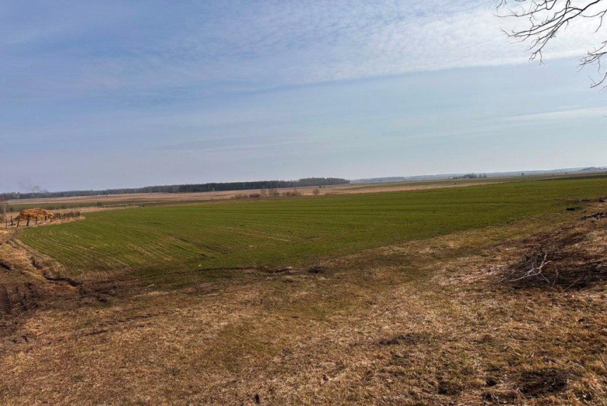 Parduodamas namas Šniūrų k., Šalčininkų r. sav., 69.48 m² ploto 3 kambariai 41