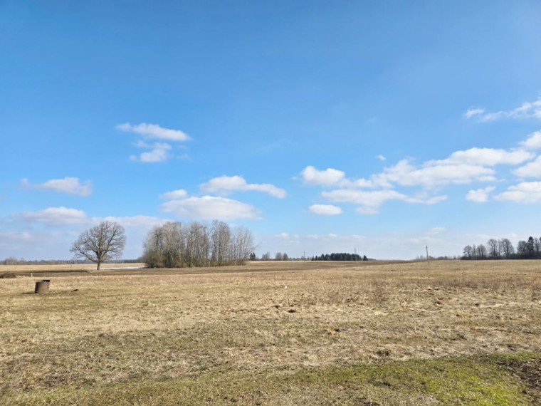 Parduodamas namas Maksvyčių k., Kupiškio r. sav., 70.00 m² ploto 2 kambariai 12
