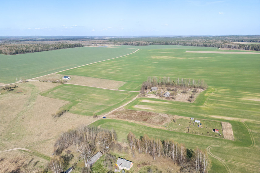 Parduodamas sklypas Vyšnių g., Jaglimainių k., 36 a ploto 1