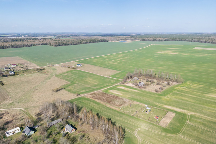 Parduodamas sklypas Vyšnių g., Jaglimainių k., 36 a ploto 2