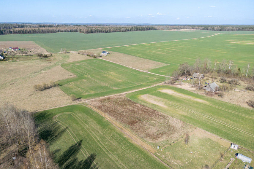 Parduodamas sklypas Vyšnių g., Jaglimainių k., 36 a ploto 8