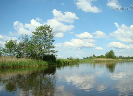 Parduodamas sklypas Kungušilų k., Jonavos r. sav., 313.00 a ploto Parduodamas sklypas Kungušilų k., Jonavos r. sav., 313.00 a ploto