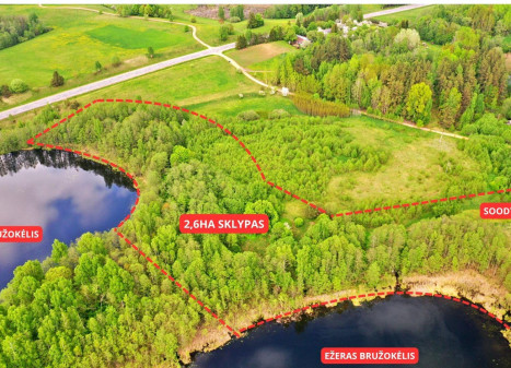 Parduodamas sklypas Daneikių k., Zarasų r. sav., 260.00 a ploto