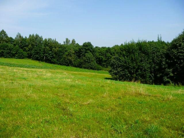 Parduodamas sklypas Daneikių k., Zarasų r. sav., 260.00 a ploto 4