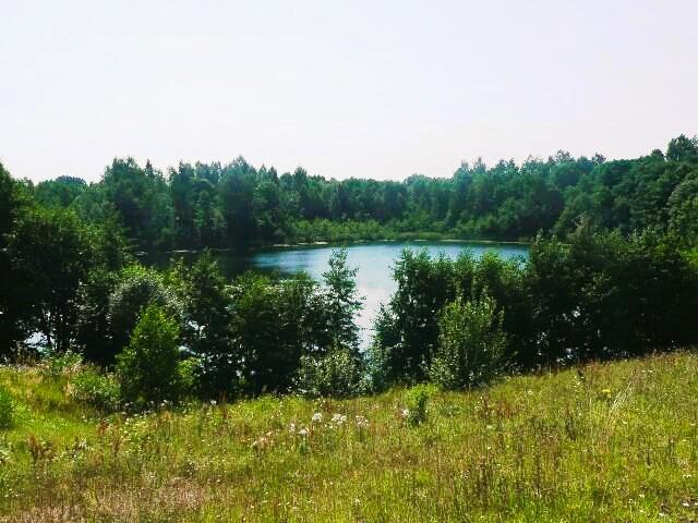 Parduodamas sklypas Daneikių k., Zarasų r. sav., 260.00 a ploto 5