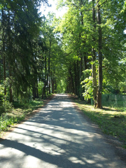 Parduodamas namas Vaišvydavos k., Kauno r. sav., 120.00 m² ploto 4 kambariai 4