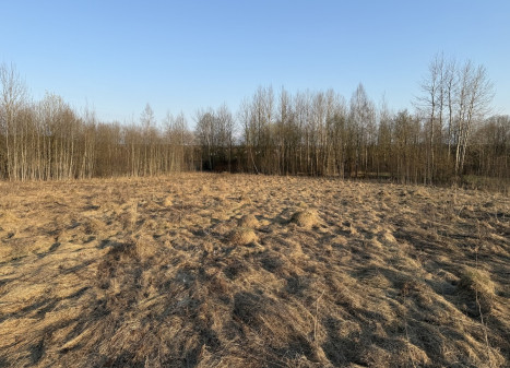 Parduodamas sklypas Bruknių g., Katiliškių k., Vilniaus r. sav., 13.25 a ploto Parduodamas sklypas Bruknių g., Katiliškių k., Vilniaus r. sav., 13.25 a ploto