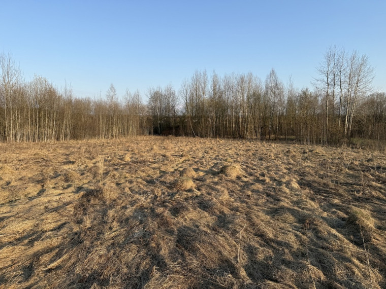 Parduodamas  sklypas Bruknių g., Katiliškių k., Vilniaus r. sav., 13.25 a ploto 1