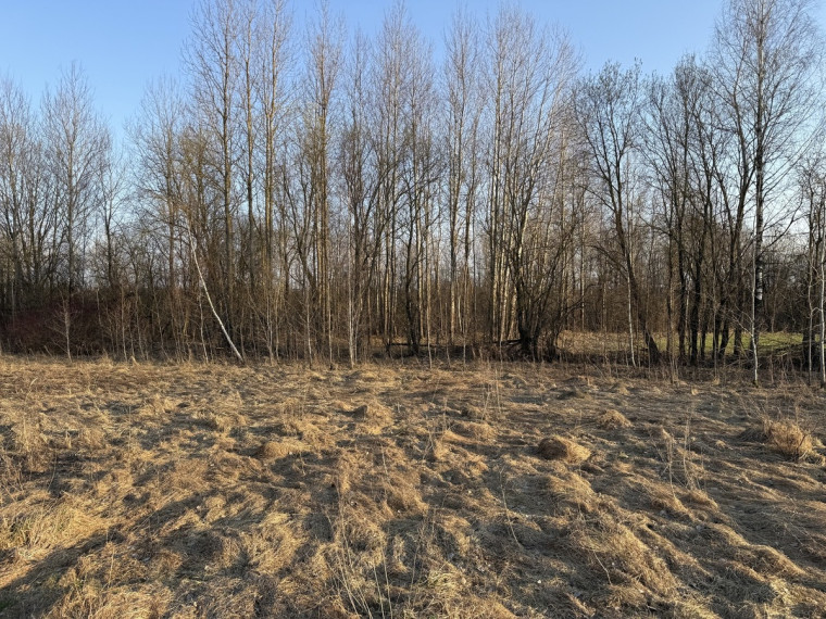 Parduodamas  sklypas Bruknių g., Katiliškių k., Vilniaus r. sav., 13.25 a ploto 2