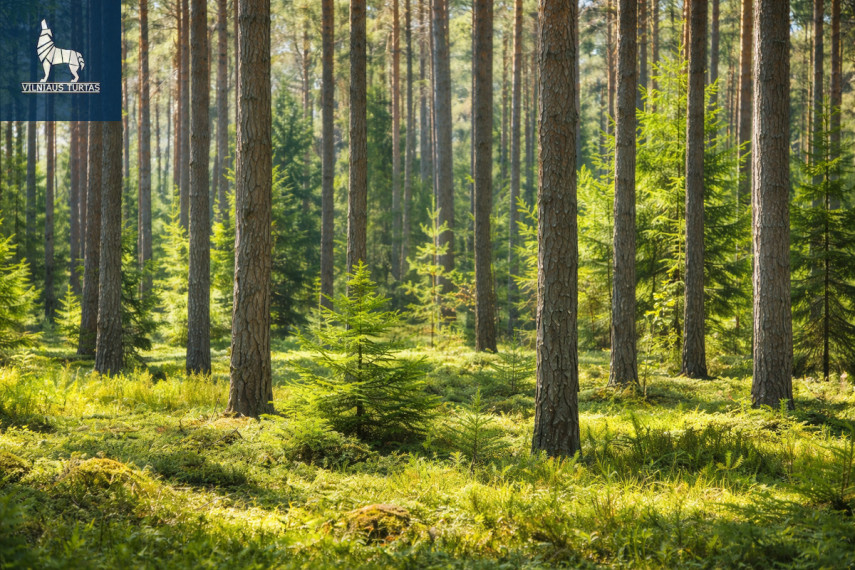 Parduodamas  sklypas Pabradės m., Švenčionių r. sav., 229 a ploto 8