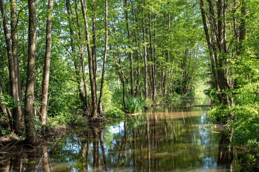 Parduodamas namas Miškininkų g., Valkininkų mstl., 28.63 kv.m ploto 4