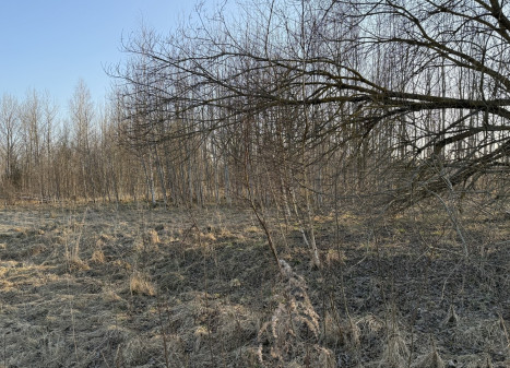 Parduodamas sklypas Vilniaus r. sav., Katiliškių k., bruknių g. , 12.75 a ploto Parduodamas sklypas Vilniaus r. sav., Katiliškių k., bruknių g. , 12.75 a ploto