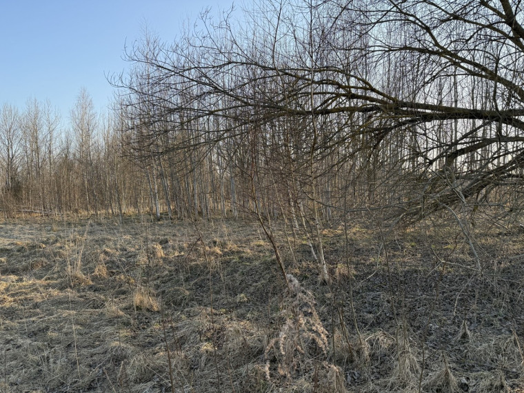 Parduodamas  sklypas Vilniaus r. sav., Katiliškių k., bruknių g. , 12.75 a ploto 1