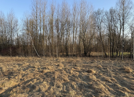 Parduodamas sklypas Bruknių g., Katiliškių k., Vilniaus r. sav., 13.62 a ploto Parduodamas sklypas Bruknių g., Katiliškių k., Vilniaus r. sav., 13.62 a ploto