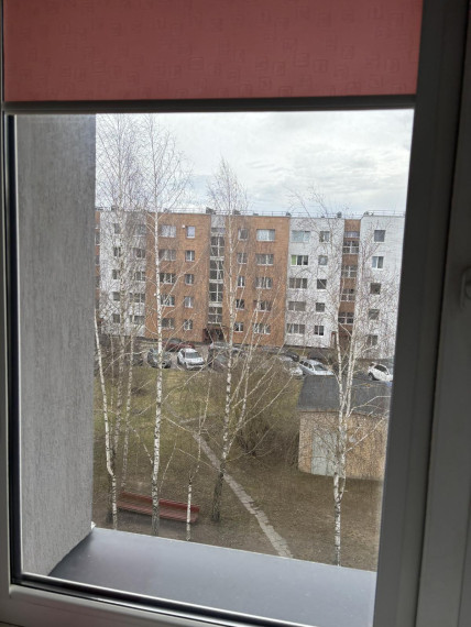 Parduodamas butas Vytauto Didžiojo g., Pakruojo m., Pakruojo r. sav., 38.61 m² ploto 2 kambariai 4