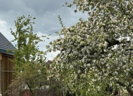 Parduodamas  sklypas Derceklių k., Klaipėdos r. sav., 6 a ploto