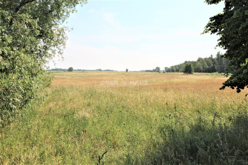 Parduodamas namų valdos paskirties sklypas Muižės k., Šilutės r. sav., 254.12 a ploto 4