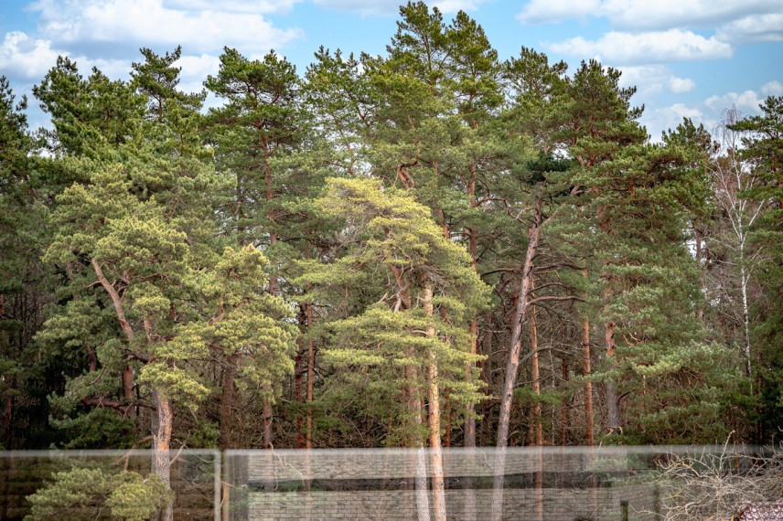 Parduodamas namas Pušyno kel., Vilniaus m., Vilniaus m. sav., 186 m2 ploto, 2 aukštai 29