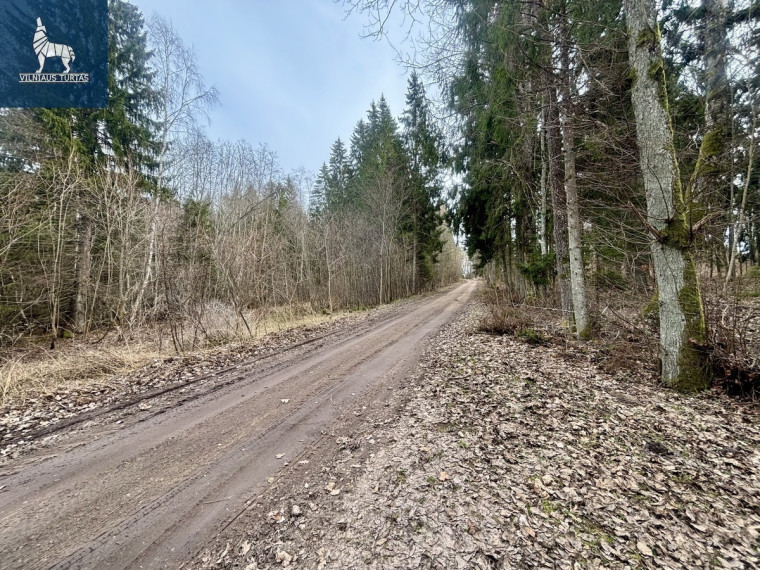 Parduodamas kitos paskirties sklypas Paežerių k., Radviliškio r. sav., 1638 a ploto 17
