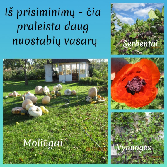 Parduodamas namas Žilvino g., Daukniškių k., Panevėžio r. sav., 67.91 m2 ploto, 2 aukštai 29