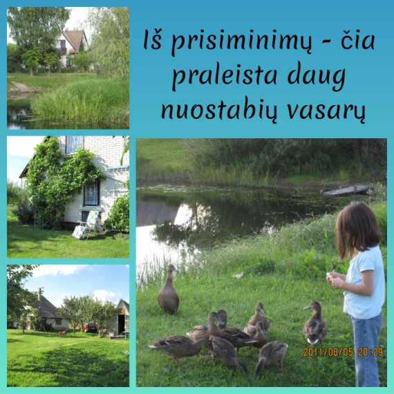 Parduodamas namas Žilvino g., Daukniškių k., Panevėžio r. sav., 67.91 m2 ploto, 2 aukštai 30