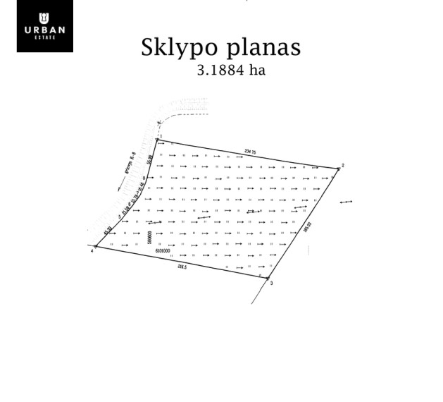 Parduodamas sklypas Pustiltos k., 318.84 a ploto 2
