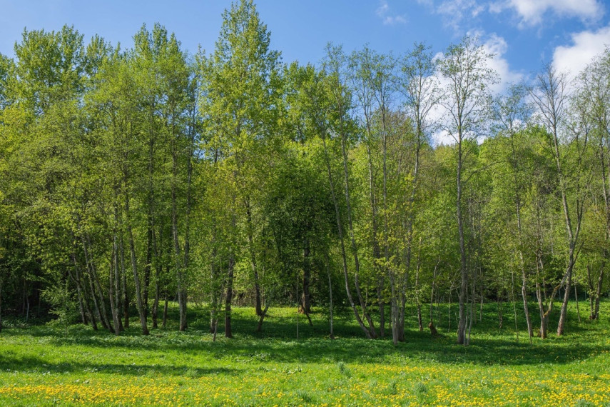 Parduodamas namas Vilniaus m. sav., Vilniaus m., Paneriai, Vaidotų g., 108.28 m2 ploto, 1 aukštai 4
