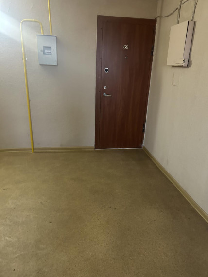 Parduodamas butas S. Jaugelio Telegos g., Kėdainių m., Kėdainių r. sav., 33 m² ploto 1 kambarys 1
