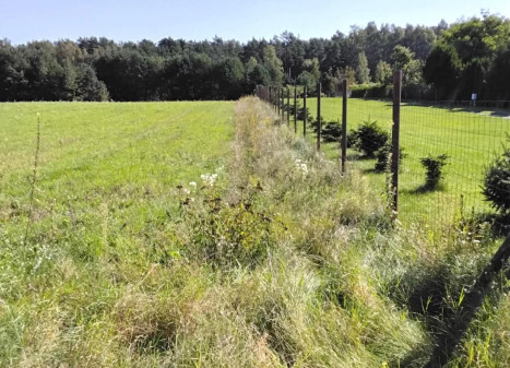 Parduodamas sklypas Dumpių g., Toleikių k., Klaipėdos r. sav., 157.40 a ploto