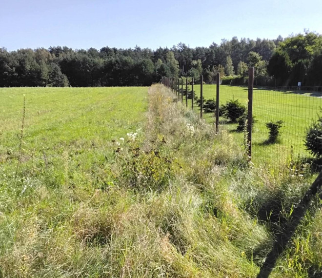 Parduodamas sklypas Dumpių g., Toleikių k., Klaipėdos r. sav., 157.40 a ploto 1