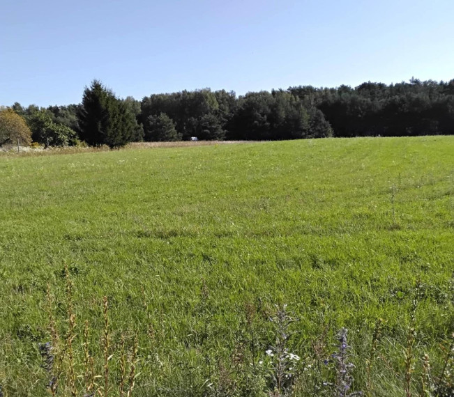 Parduodamas sklypas Dumpių g., Toleikių k., Klaipėdos r. sav., 157.40 a ploto 2