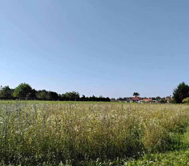 Parduodamas sklypas Dumpių g., Toleikių k., Klaipėdos r. sav., 157.40 a ploto 4