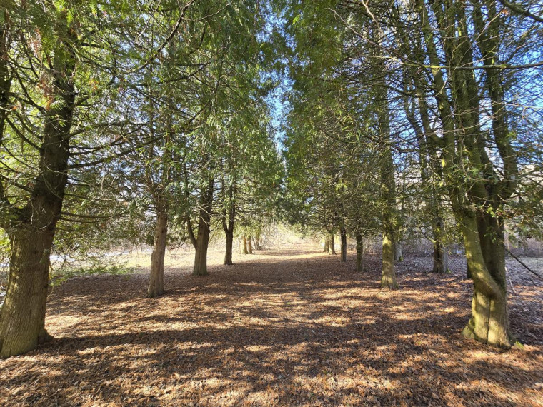 Parduodamos patalpos Maksvyčių k., Kupiškio r. sav., 594.00 m² ploto 12