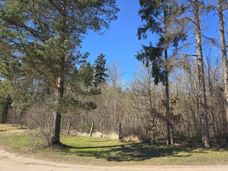 Parduodamas namas Voverynės k., Utenos r. sav., 55 m² ploto 3 kambariai 8