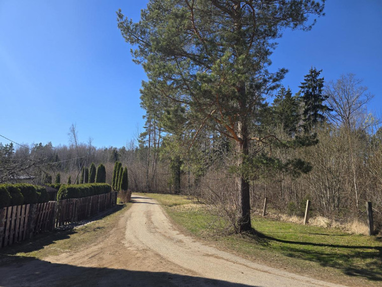 Parduodamas namas Voverynės k., Utenos r. sav., 55 m² ploto 3 kambariai 9