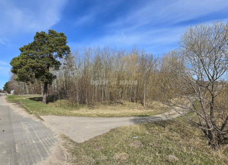Parduodamas komercinės paskirties sklypas Vyčių k., Panevėžio r. sav., 77.19 a ploto