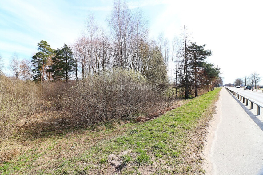 Parduodamas komercinės paskirties sklypas Vyčių k., Panevėžio r. sav., 77.19 a ploto 3