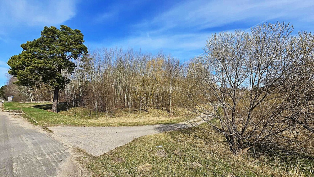 Parduodamas komercinės paskirties sklypas Vyčių k., Panevėžio r. sav., 77.19 a ploto 8