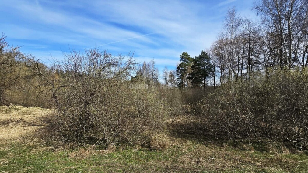 Parduodamas komercinės paskirties sklypas Vyčių k., Panevėžio r. sav., 77.19 a ploto 9