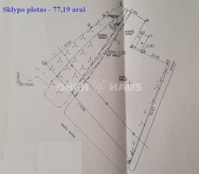 Parduodamas komercinės paskirties sklypas Vyčių k., Panevėžio r. sav., 77.19 a ploto 10