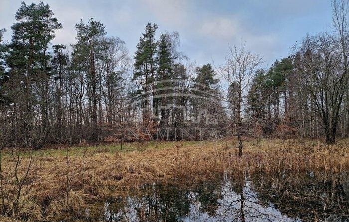 Parduodamas  sklypas Lyverių k., Klaipėdos r. sav., 128 a ploto 1