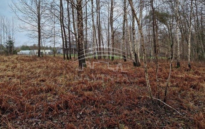 Parduodamas  sklypas Lyverių k., Klaipėdos r. sav., 128 a ploto 4