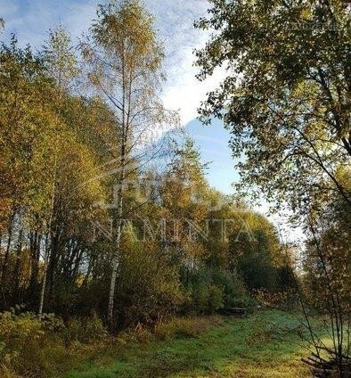 Parduodamas  sklypas Lyverių k., Klaipėdos r. sav., 128 a ploto 10