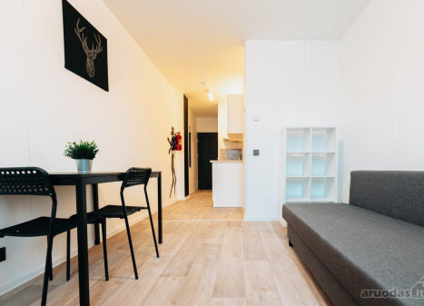 Nuomojamas butas Elektrėnų g., Dainava, Kauno m., Kauno m. sav., 22 m² ploto 1 kambarys Nuomojamas butas Elektrėnų g., Dainava, Kauno m., Kauno m. sav., 22 m² ploto 1 kambarys
