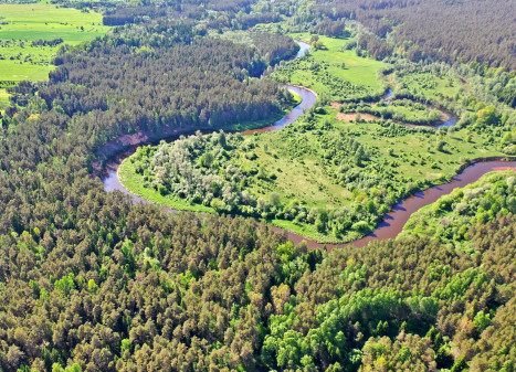 Parduodamas sklypas Mičionių k., Anykščių r. sav., 1036.00 a ploto