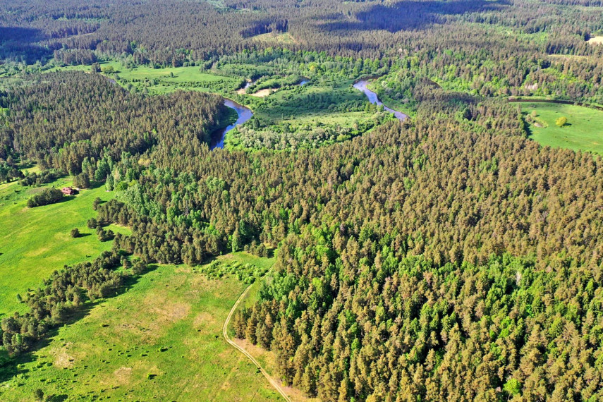 Parduodamas sklypas Mičionių k., Anykščių r. sav., 1036.00 a ploto 2