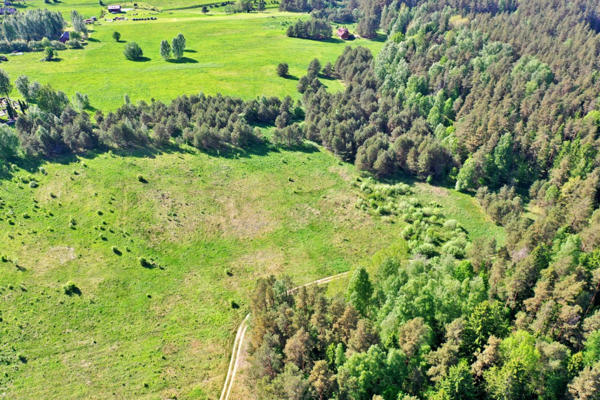 Parduodamas sklypas Mičionių k., Anykščių r. sav., 1036.00 a ploto 3