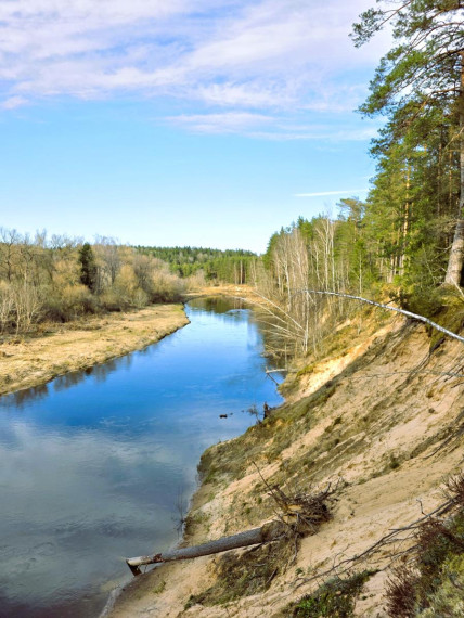 Parduodamas sklypas Mičionių k., Anykščių r. sav., 1036.00 a ploto 5