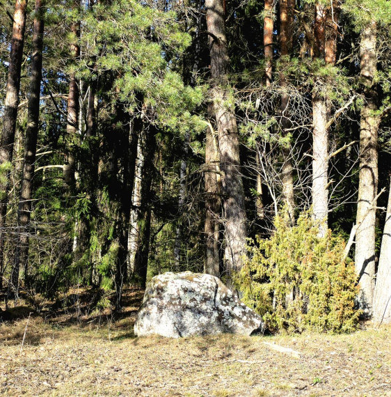 Parduodamas sklypas Mičionių k., Anykščių r. sav., 1036.00 a ploto 6