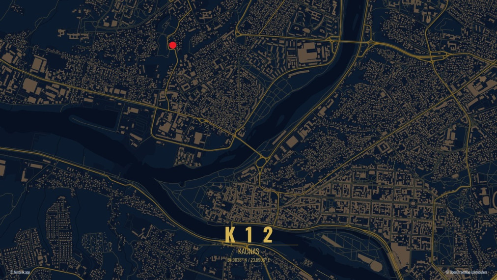 Parduodamas namas Kėdainių g., Kauno m., Kauno m. sav., 355.6 m2 ploto, 2 aukštai 25